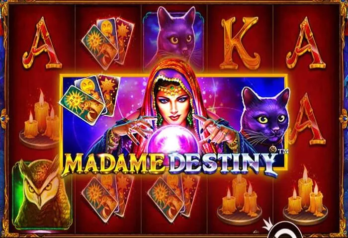 Dettagliata Recensione Seubet Casino con tutti i bonus.