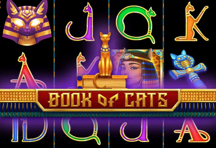 Revue complète de Seubet Casino en ligne : évaluation des jeux et services.